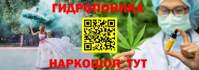 jwh Лесосибирск