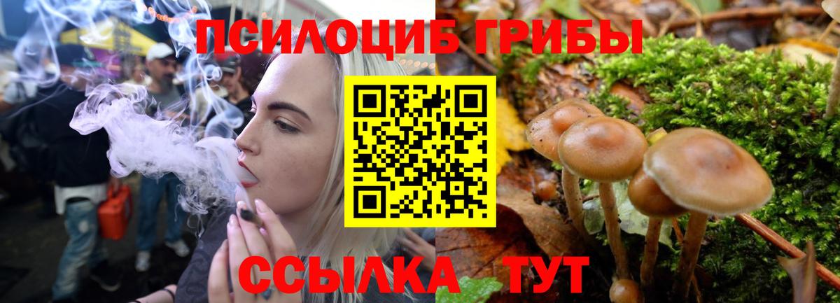 Галлюциногенные грибы Psilocybe Иваново