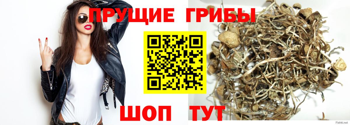Иваново  где найти   Вход с VPN  Псилоцибиновые грибы MAGIC MUSHROOMS 